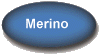 Merino